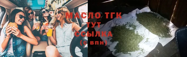 гидра Абаза