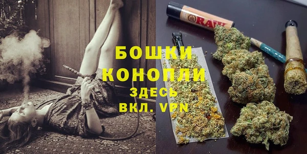 сатива Семилуки