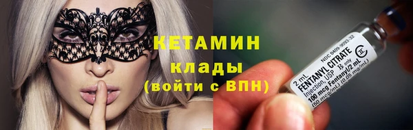 гидра Абаза