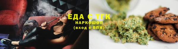 гидра Абаза