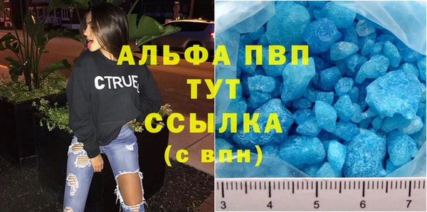 гидра Абаза