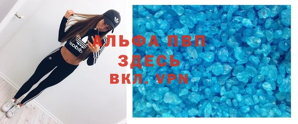 гидра Абаза