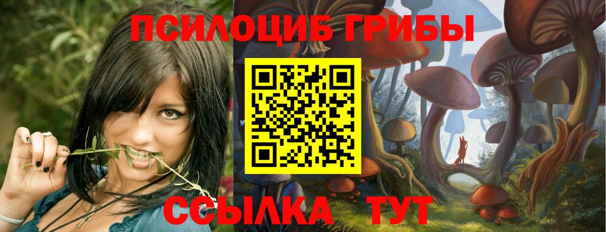 Галлюциногенные грибы Psilocybine cubensis  Псилоцибиновые грибы мицелий  Вход с VPN  Арсеньев 