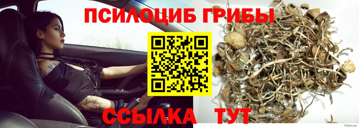 Галлюциногенные грибы ЛСД Арсеньев